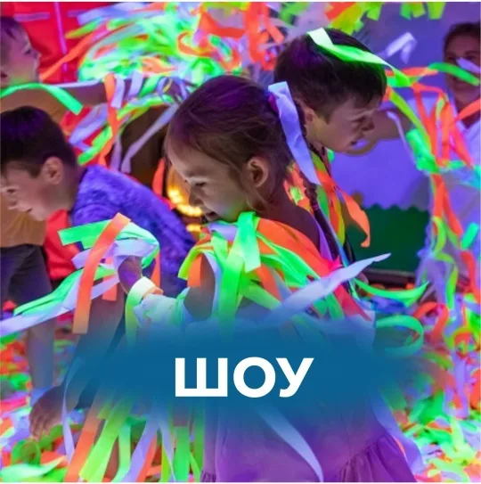 Шоу